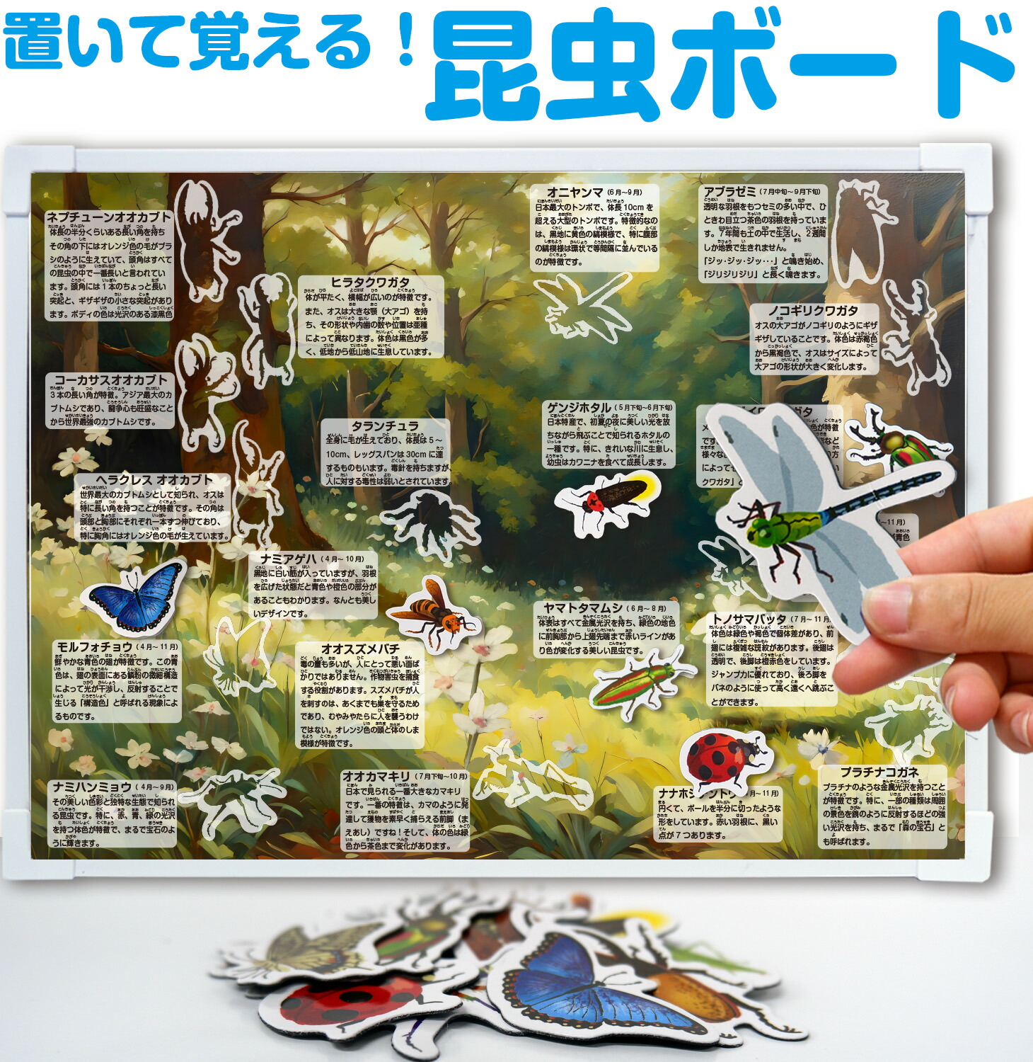 昆虫マグネット付き！昆虫ボード