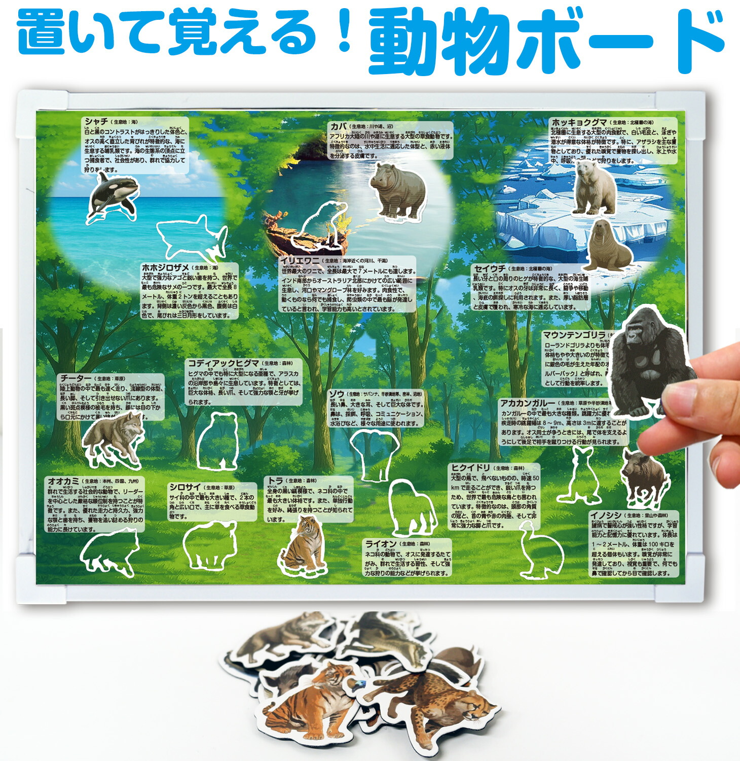 動物マグネット付き！動物ボード