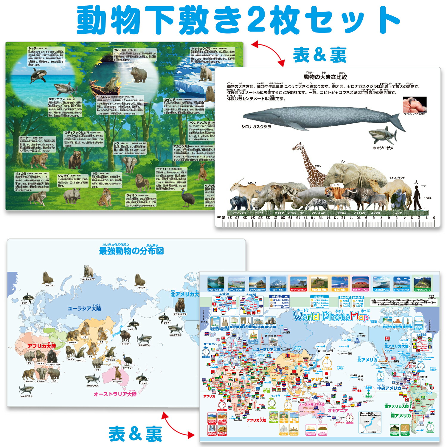 動物下敷き2枚セット