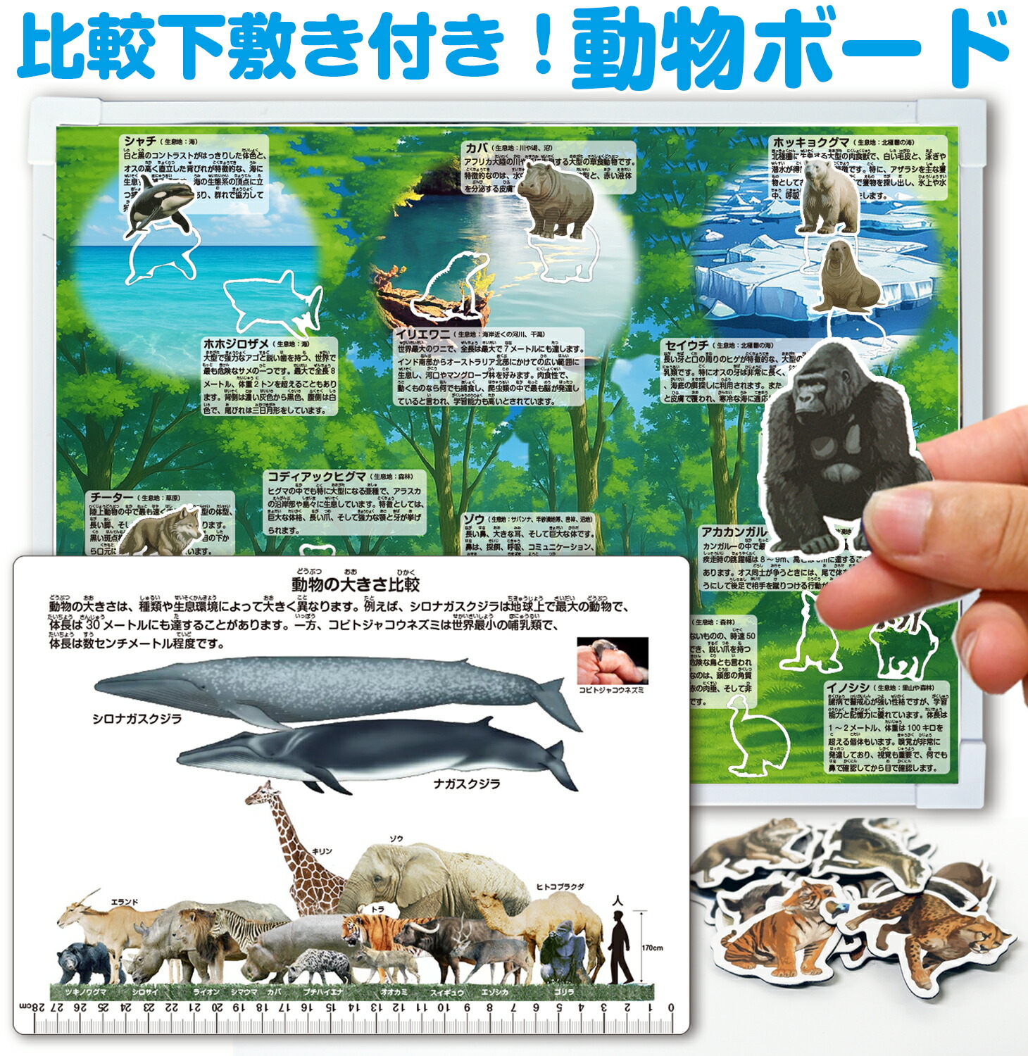 動物ボード（大きさ比較下敷き付き！）