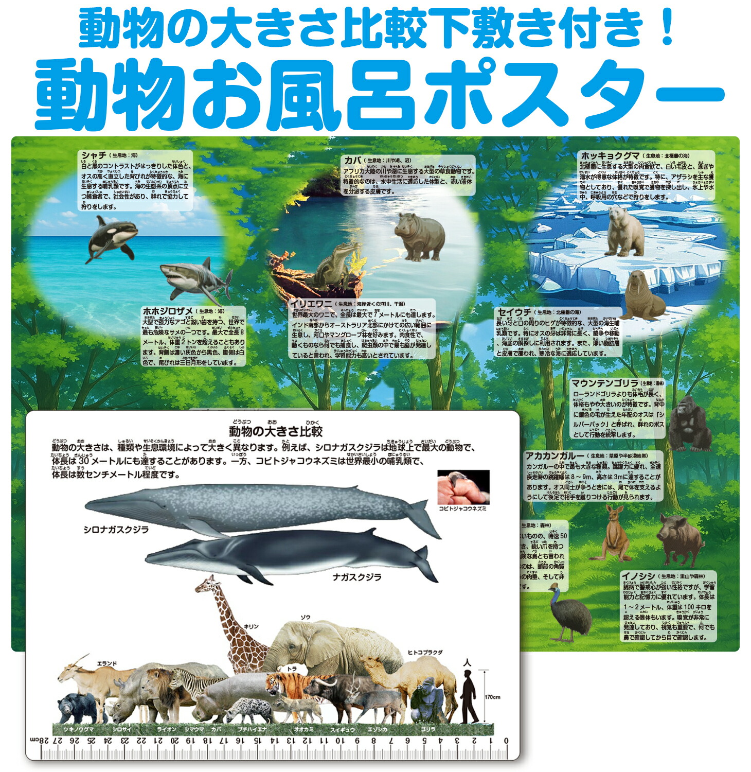 動物お風呂ポスター（大きさ比較下敷き！）