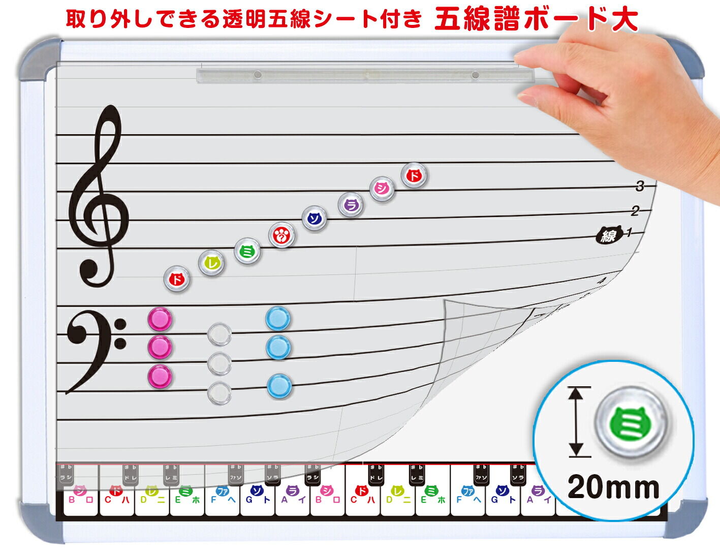 透明五線譜シートボード大(透明五線シート付き！）