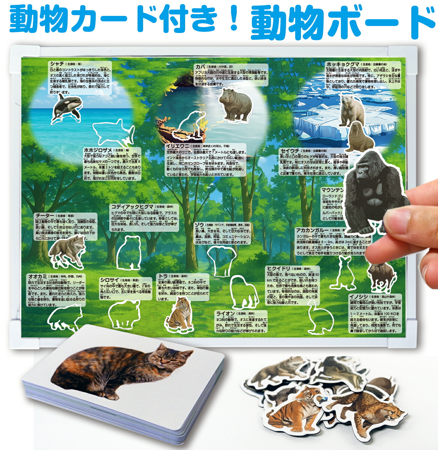 動物ボード (動物カード付き)
