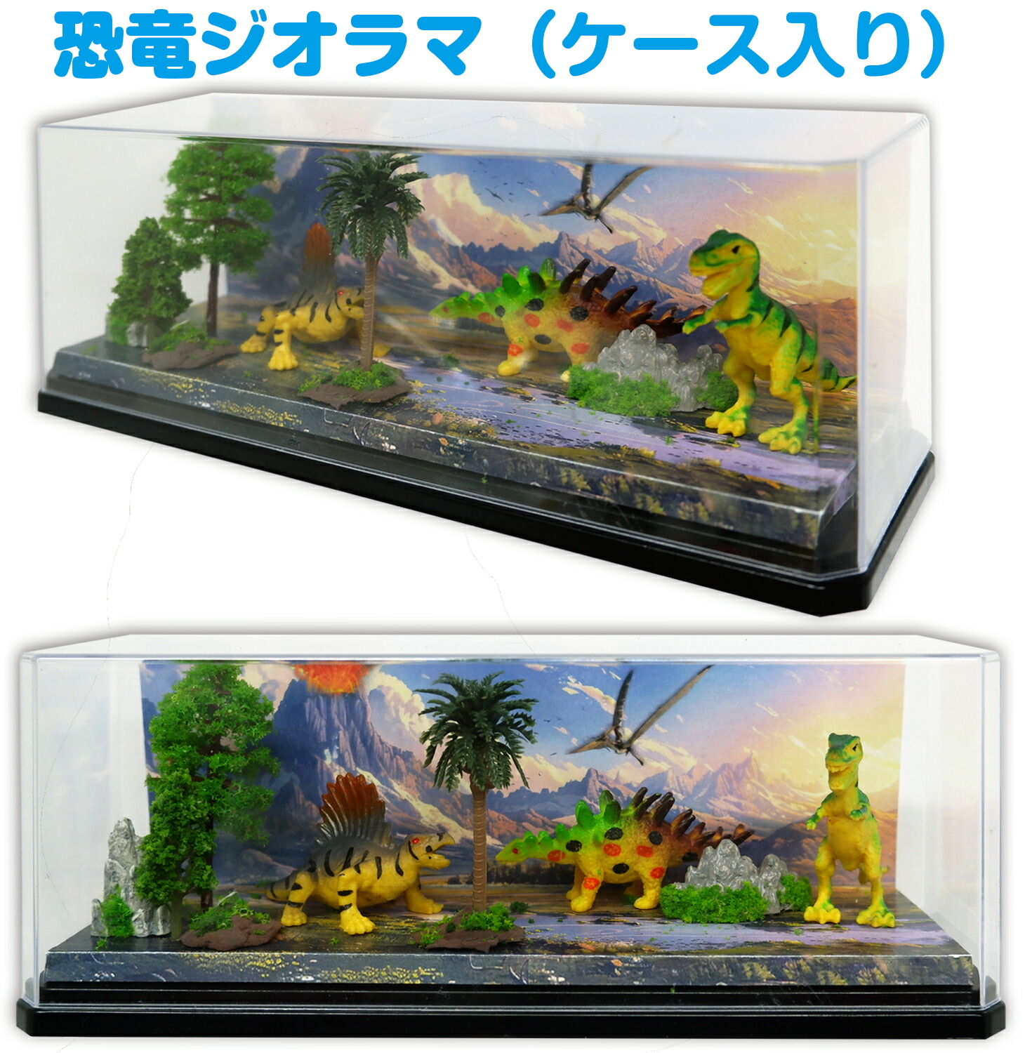 恐竜ジオラマケース
